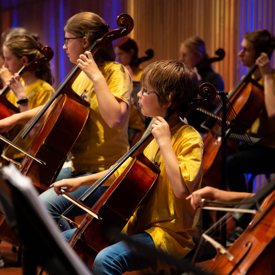 Het Grote 18+ Cello Orkest